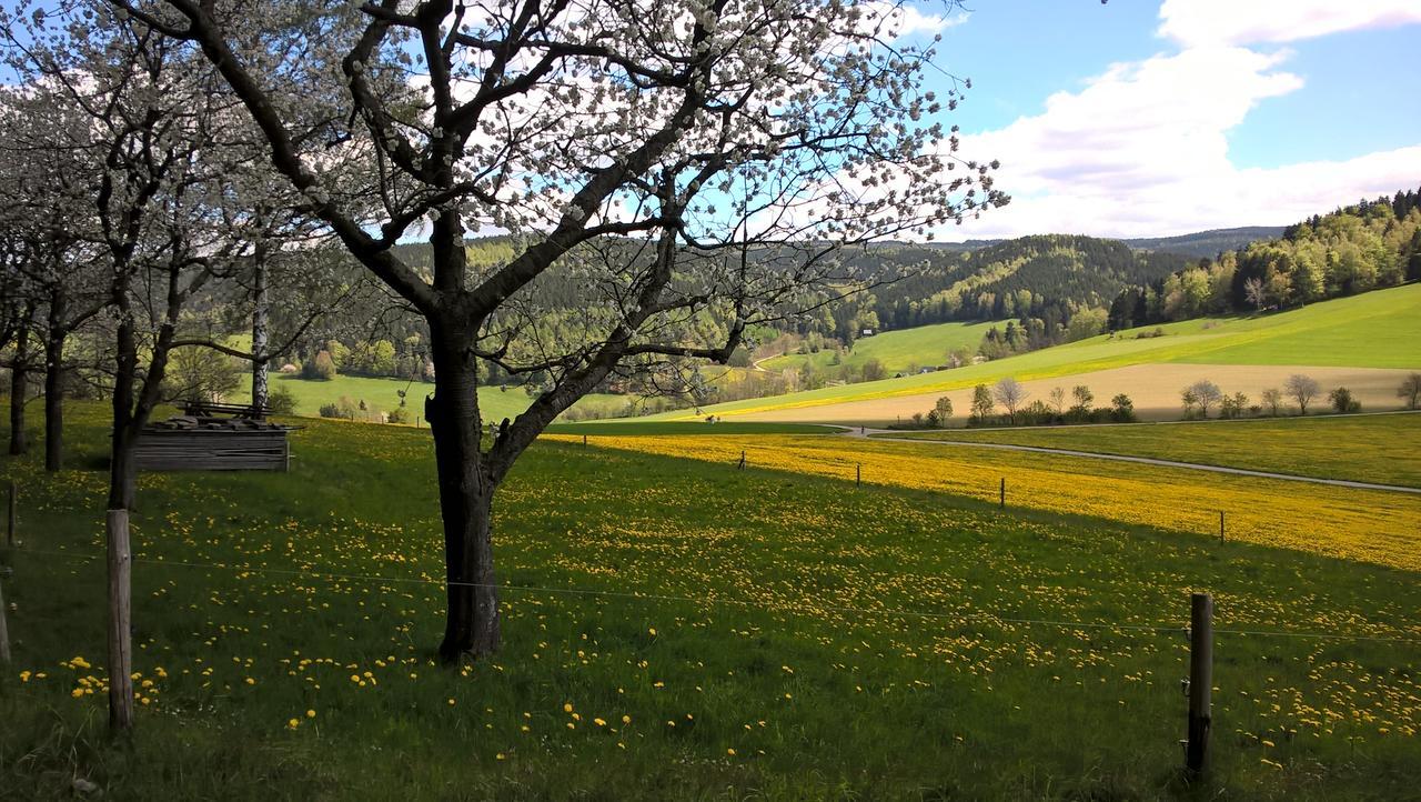 Ferienwohnungen Weissflog Schwarzenberg  Luaran gambar